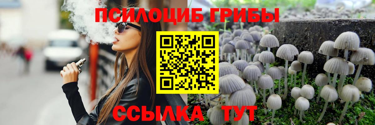 Псилоцибиновые грибы Улан-Удэ